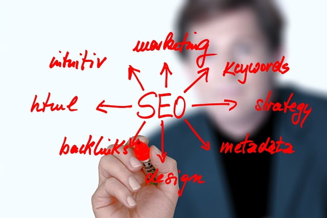 seo insights